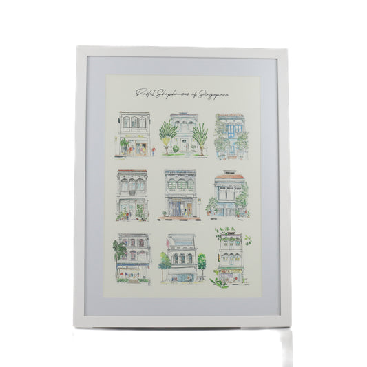 9 Pastel Shophouses of Singapore