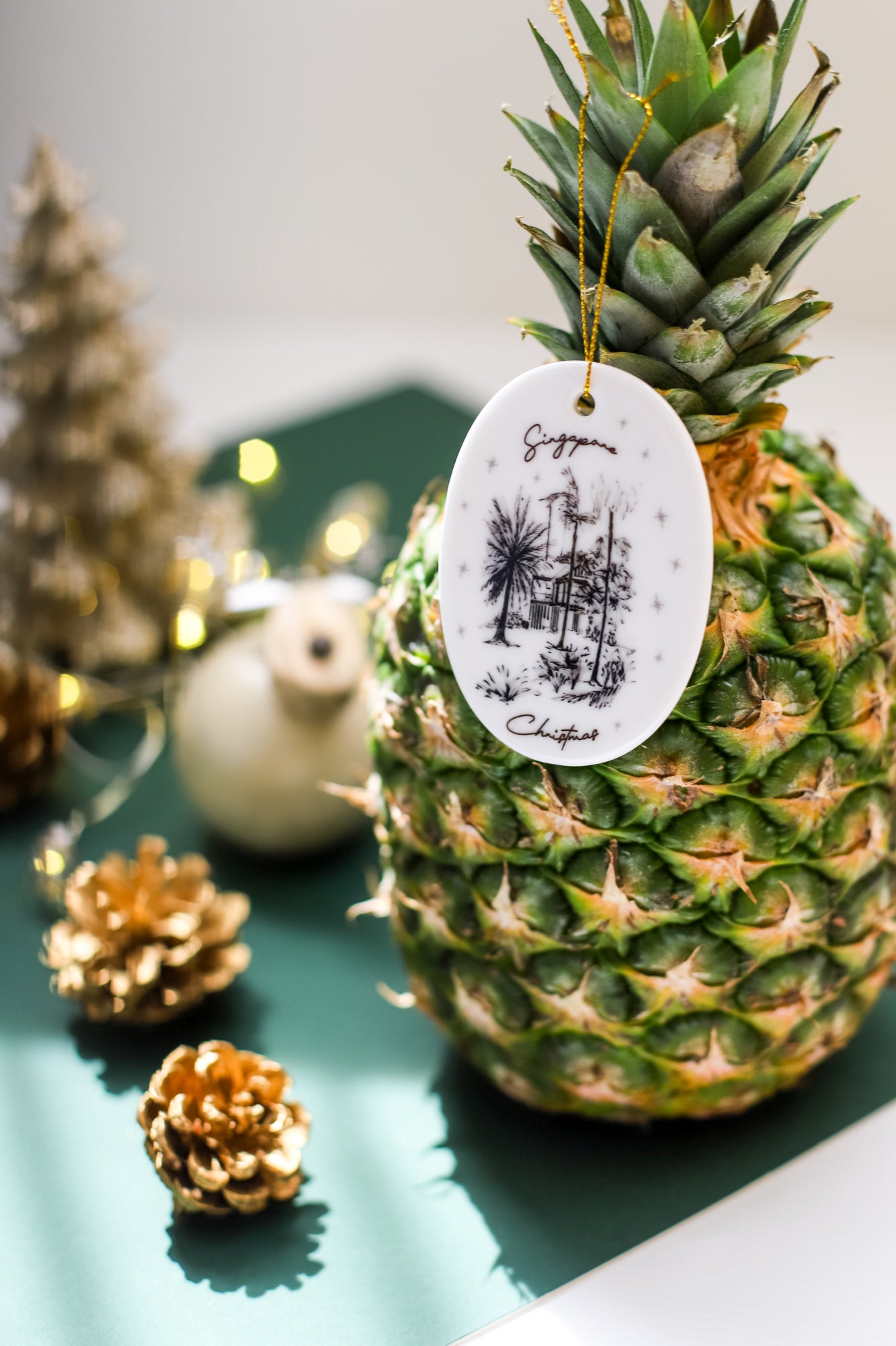 Christmas Ornament | Corner House Botanical Gardens